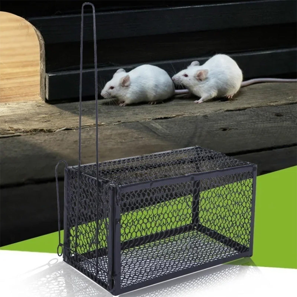 Self-locking Trap Catcher Mouse Rat Bait Mice Live Box | Mice Trap Cage Household Mouse Catcher