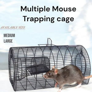 Multiple Live Rat Trap Cage | Reusable Rodent Catcher for Mice and Small Animals